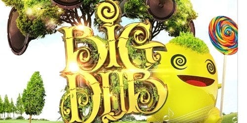 Big Dub Festival 2027