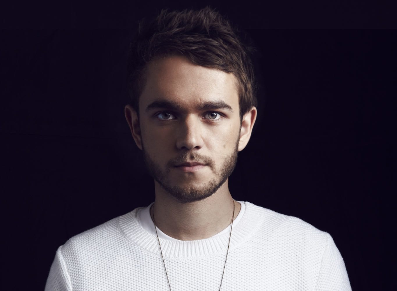 Zedd In The Park 2026