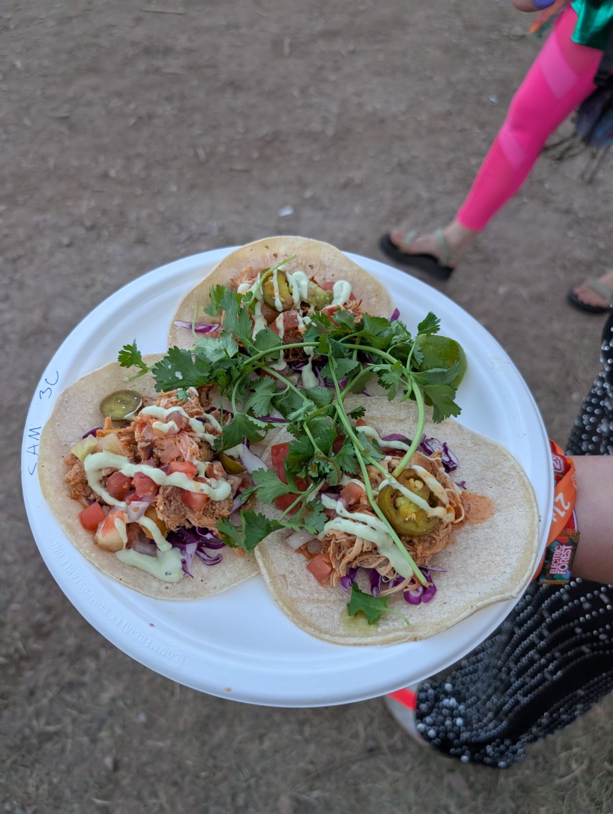 Food from Tica's Tacos