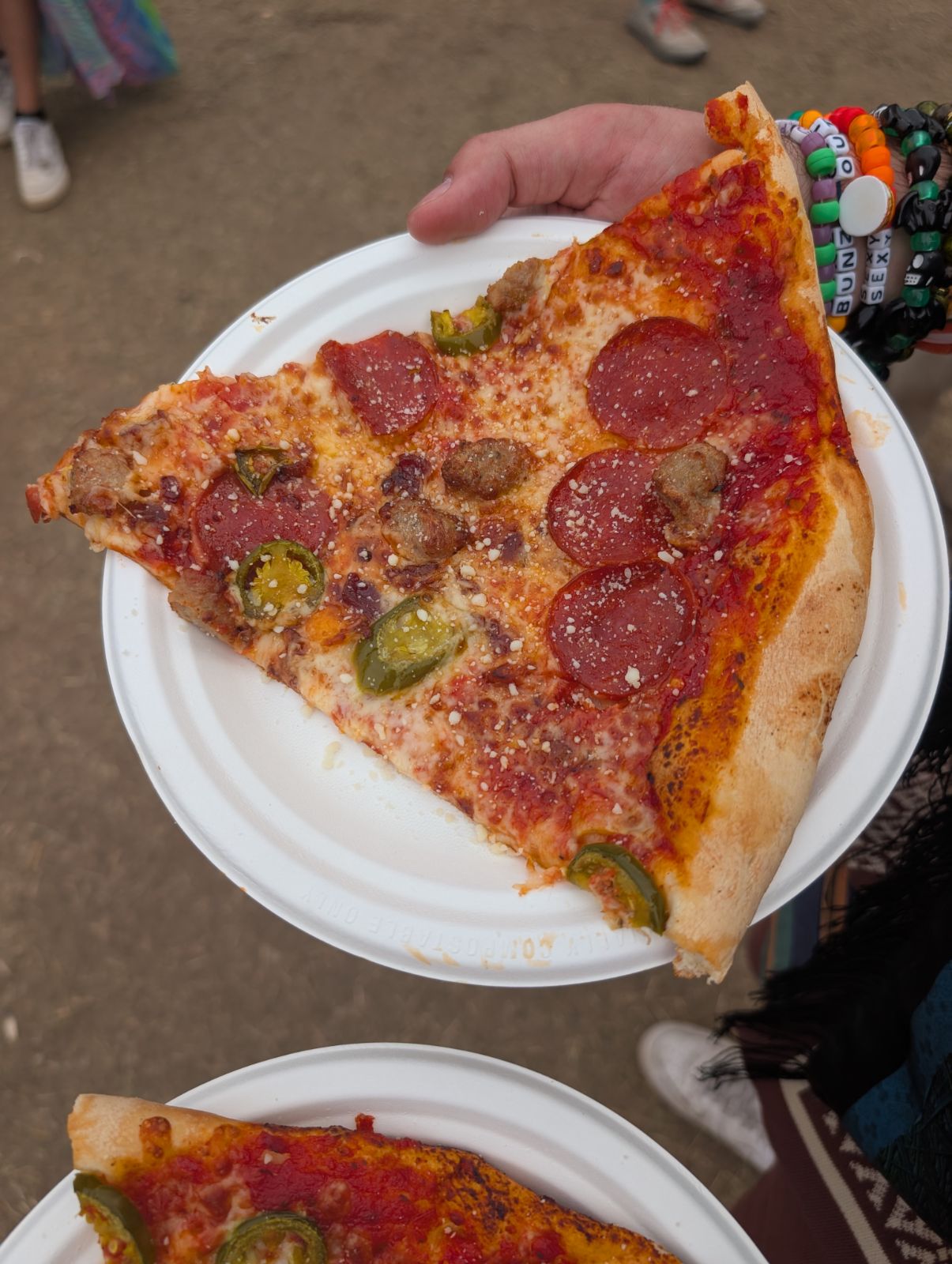 Food from Pizza Nova